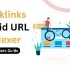 A complete guide to Backlinks Rapid URL Indexer